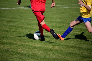 9体育-特色足球文化在国际博览会中亮相，展示国家软实力，世界足球文化